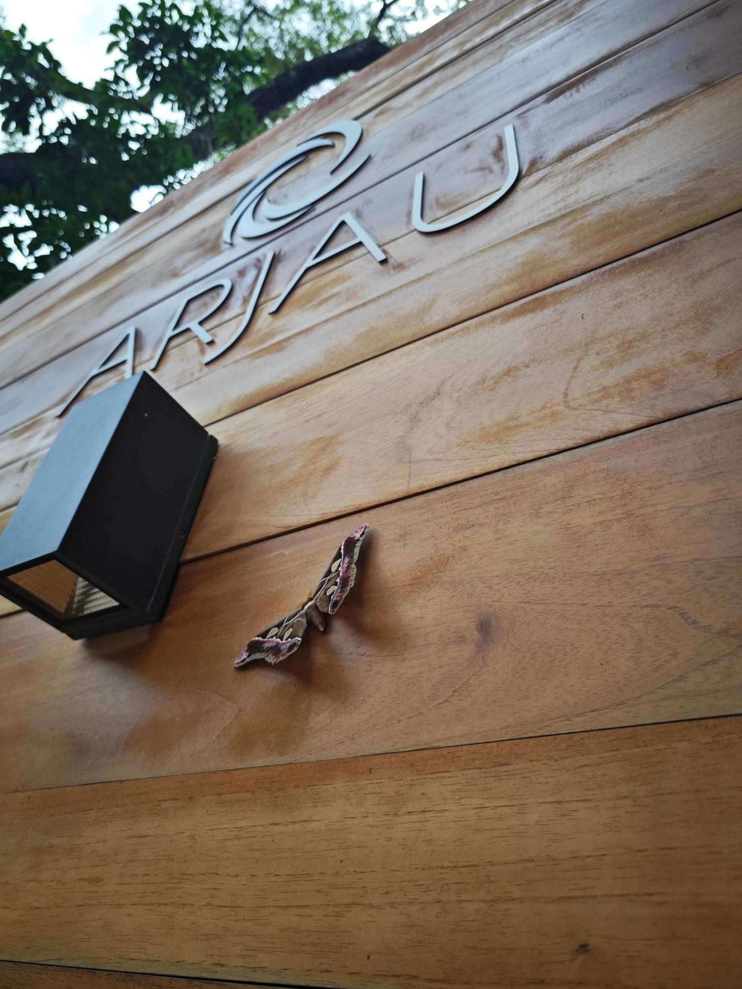 Arjau Boutique Hotel - Adults Only Playa Santa Teresa  Exterior photo